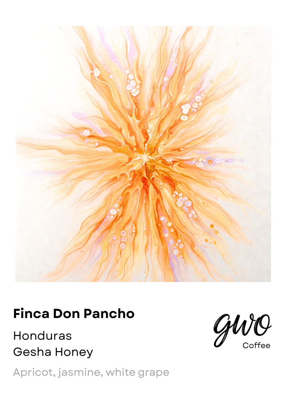 Finca Don Pancho