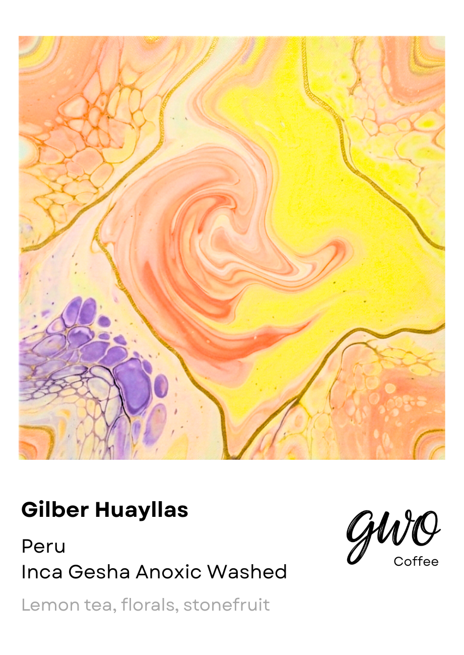 Gilber Huayllas