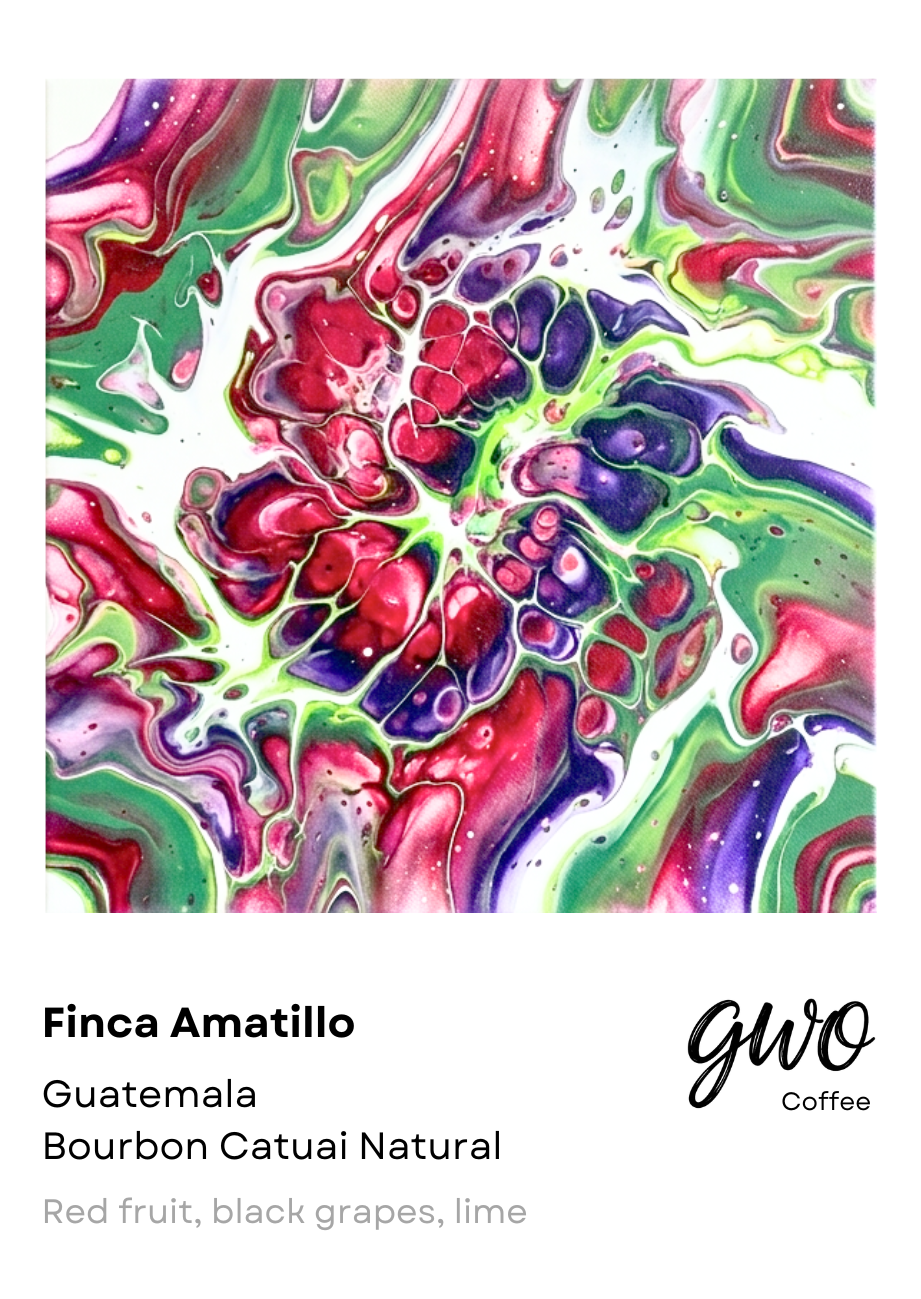 Finca Amatillo