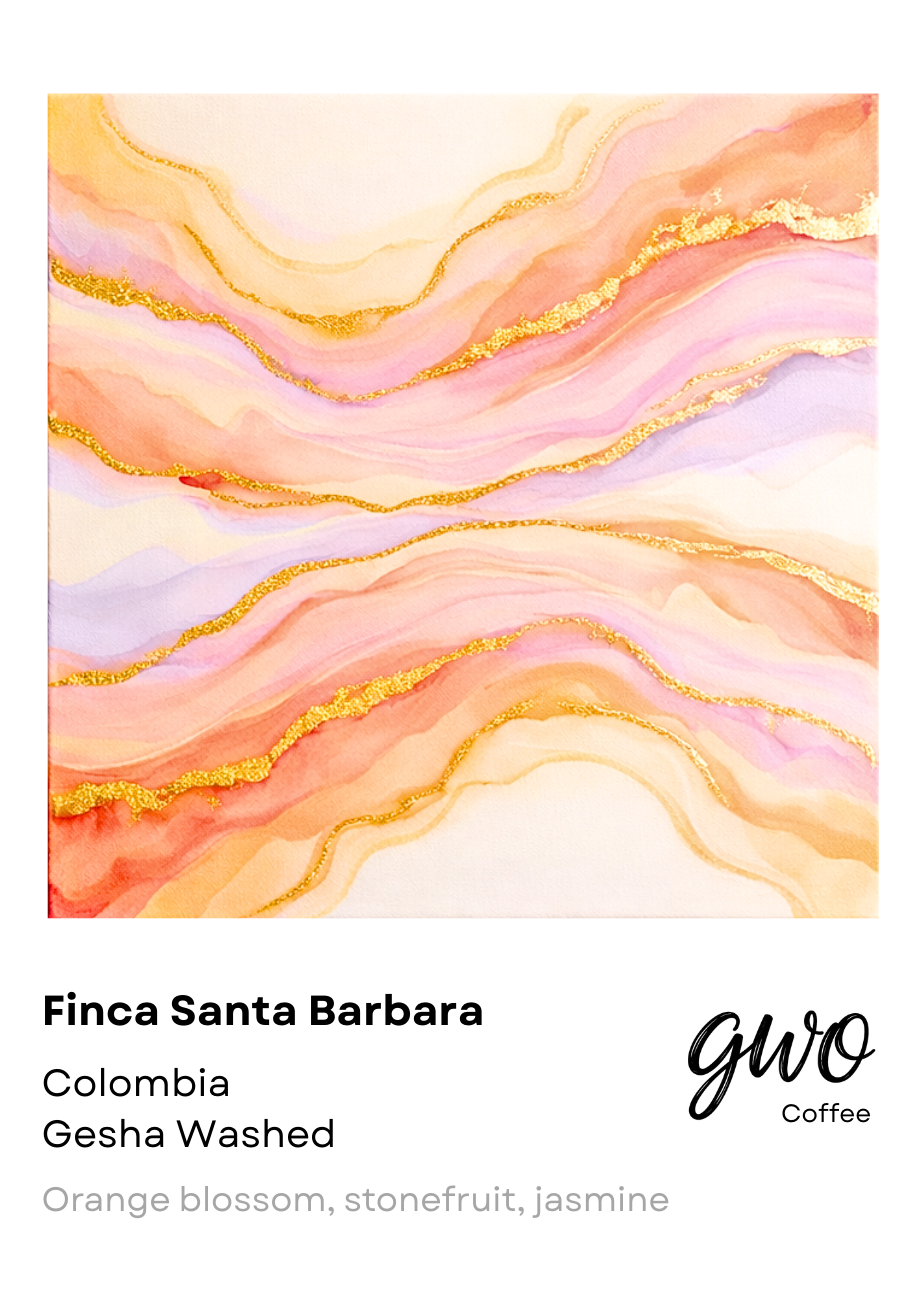 Finca Santa Barbara