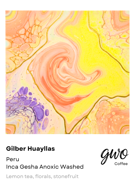 Gilber Huayllas